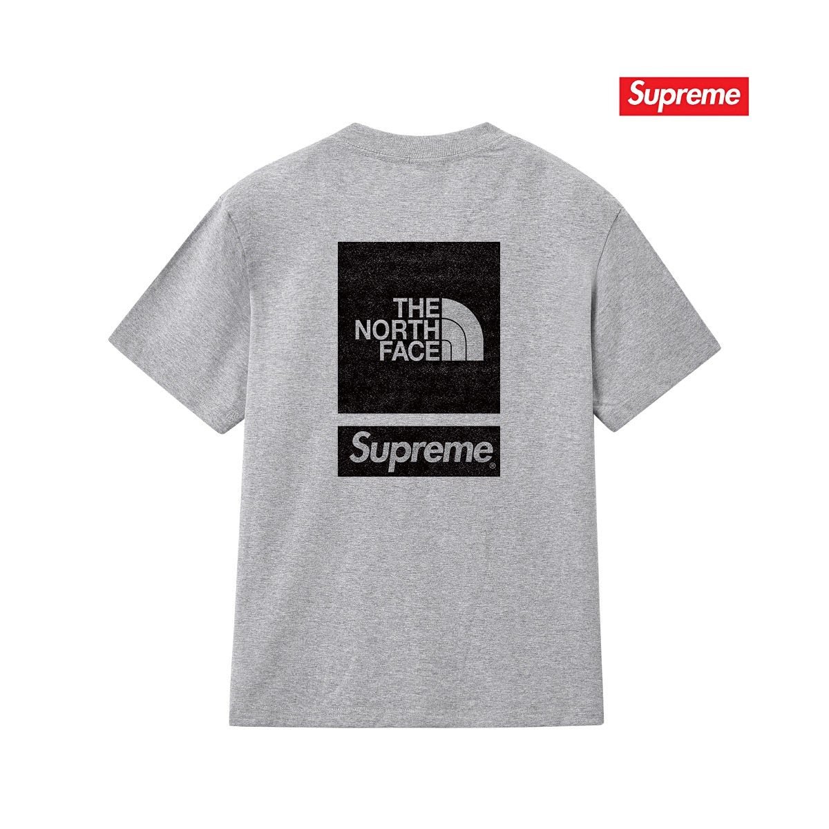 Supreme The North Face Back Logo Short-Sleeve T-Shirt ¡ª back